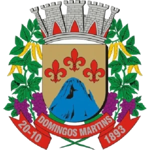 Domingos Martins Futebol Clube Ltda logo