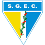 São Gabriel Esporte Clube logo