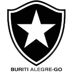 Botafogo Futebol Clube logo